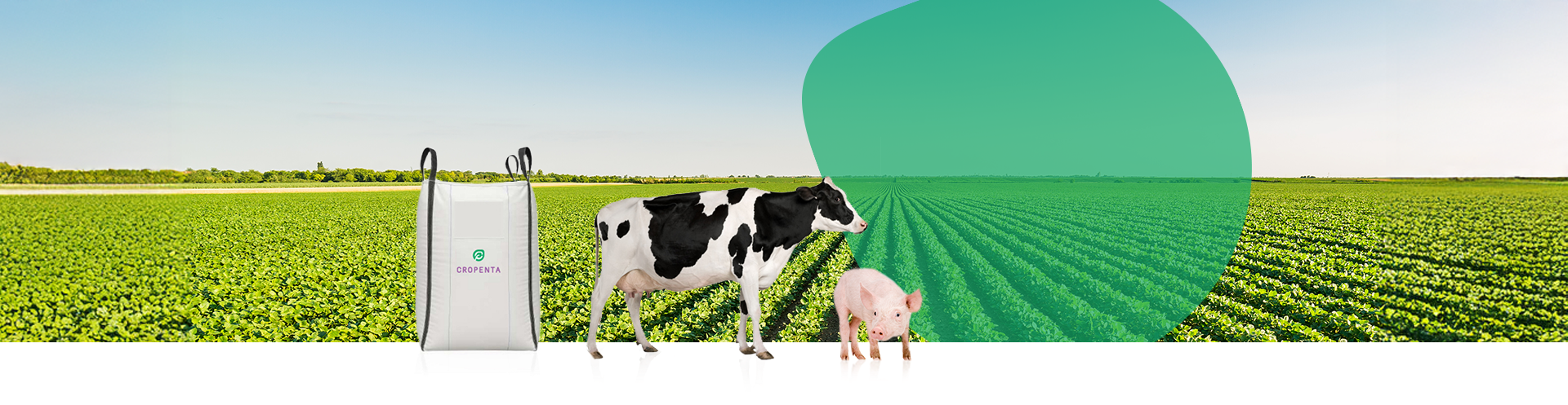 مكونات أعلاف عالية الجودة