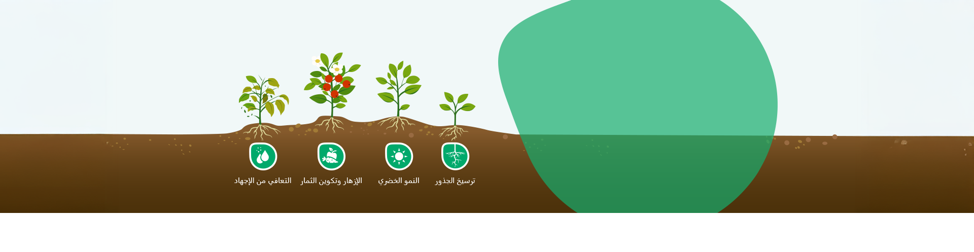 أسمدة ومحفزات حيوية عالية الأداء