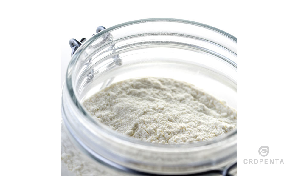 Organic rice protein