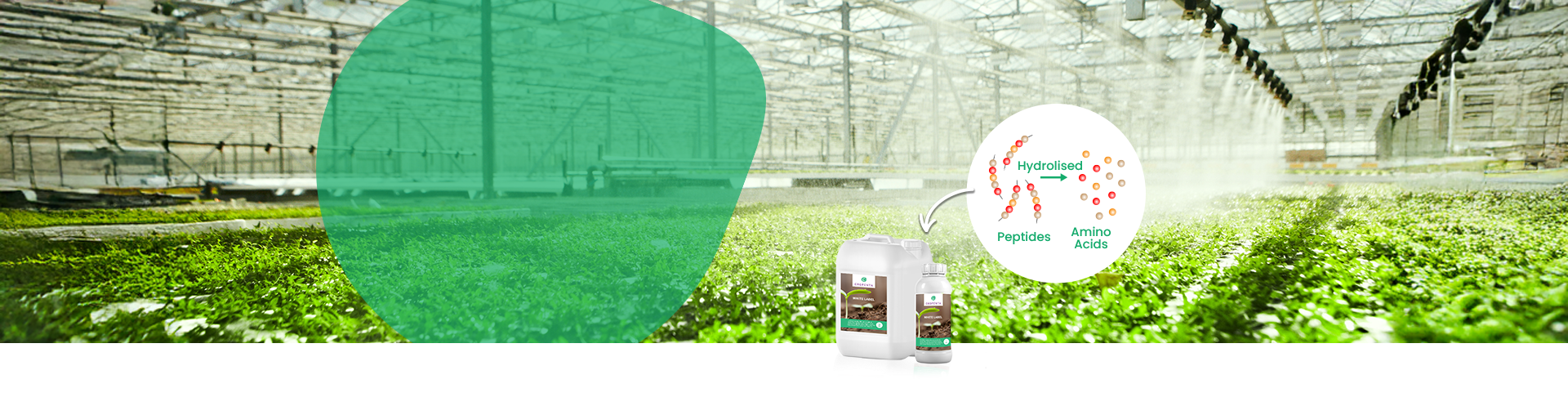 High‑L‑Amino Solutions