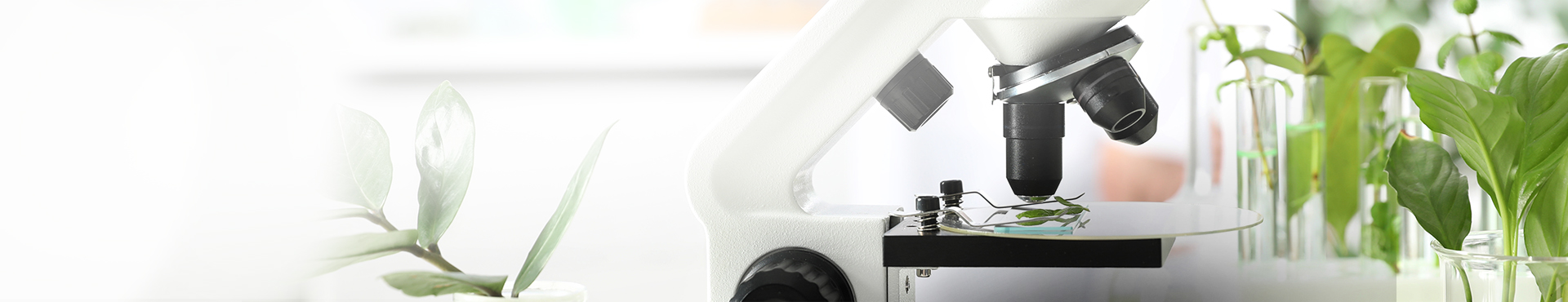 Technical expertise that drives results