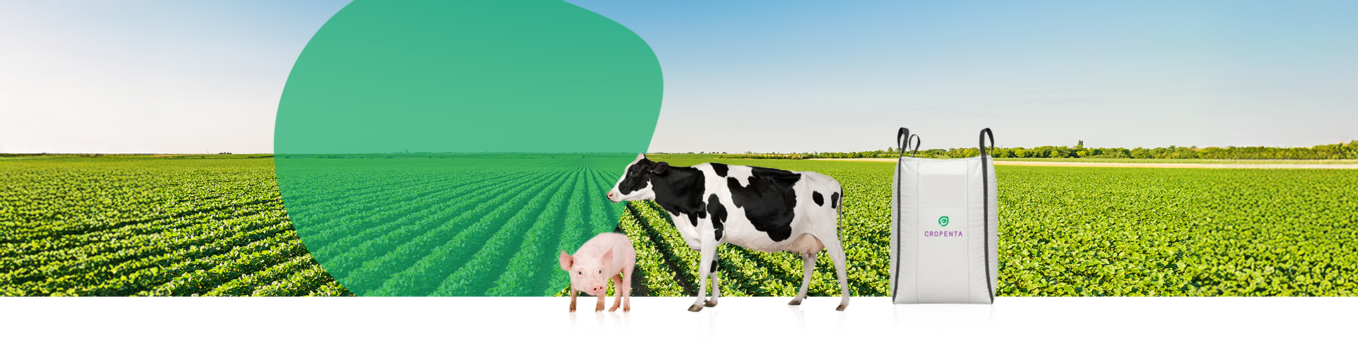 Ingredientes premium para piensos