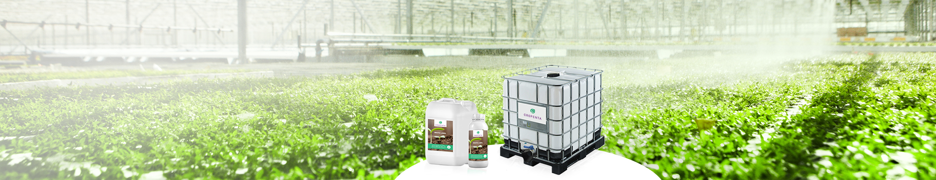 Microbial Fertilizers