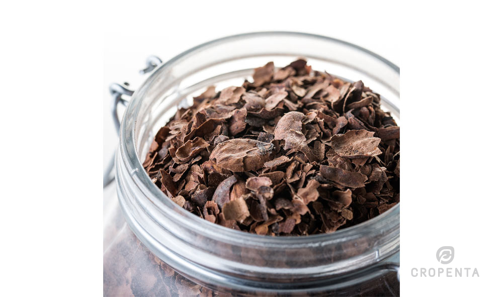 Cacao shells