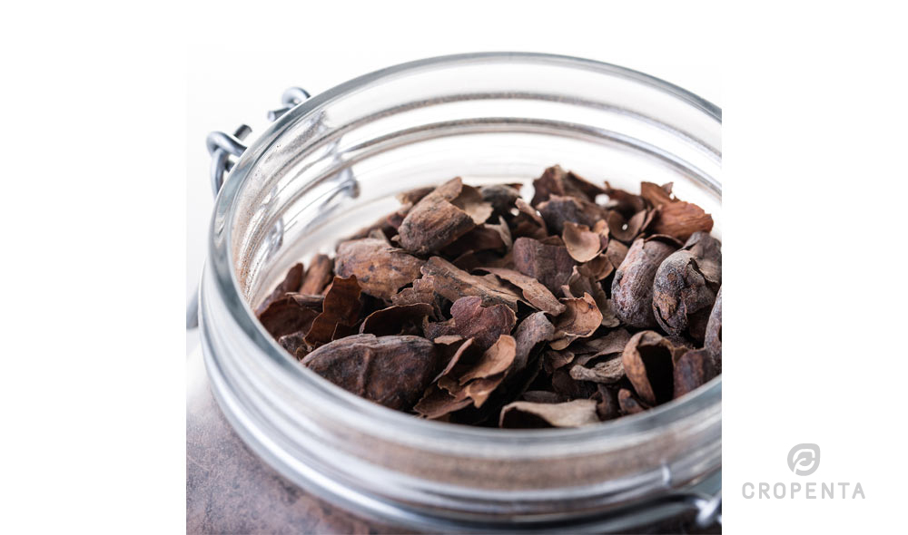 Cacao shells