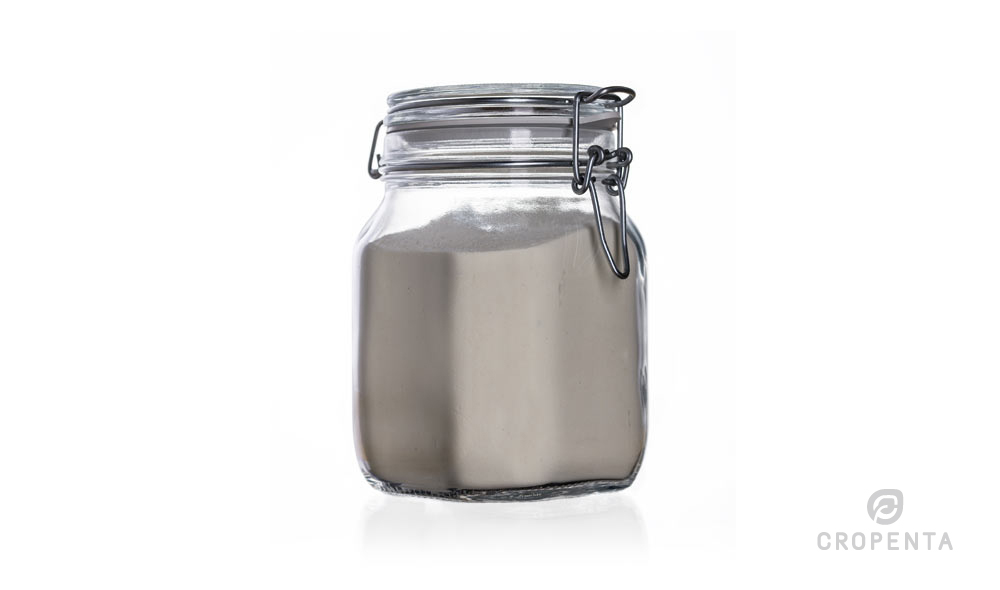 Organic rice protein