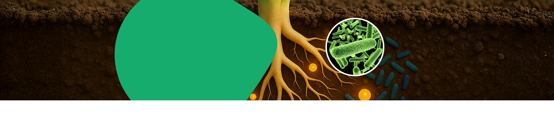 Microbial Fertilizers