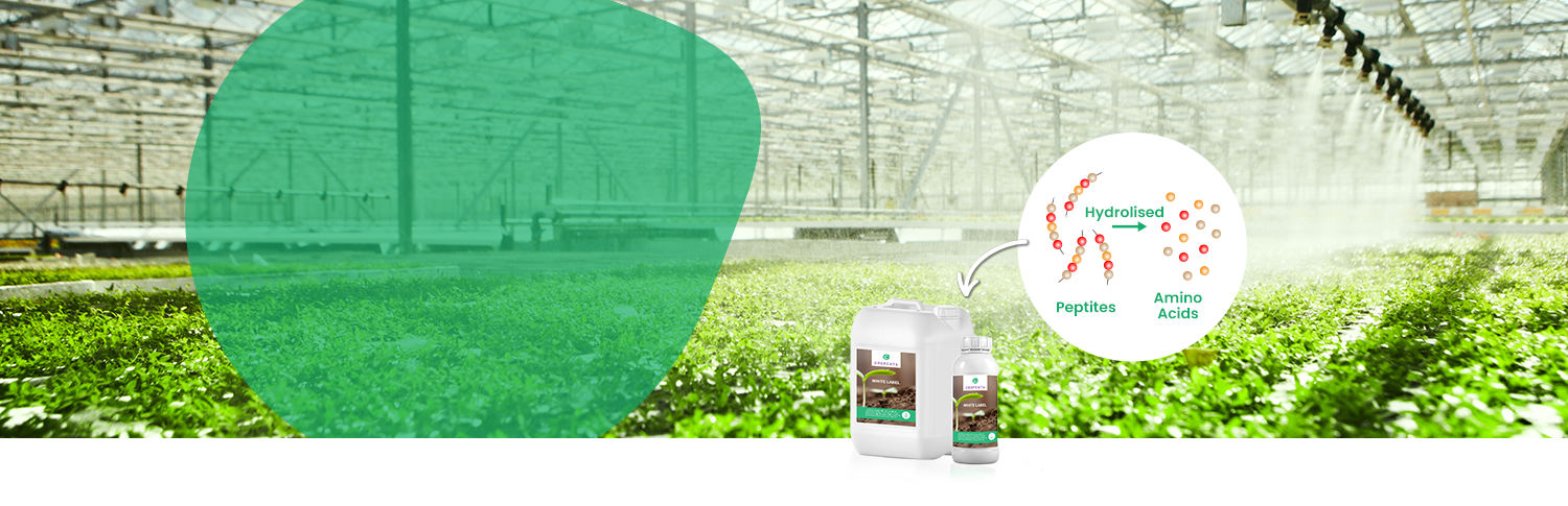 High‑L‑Amino Solutions