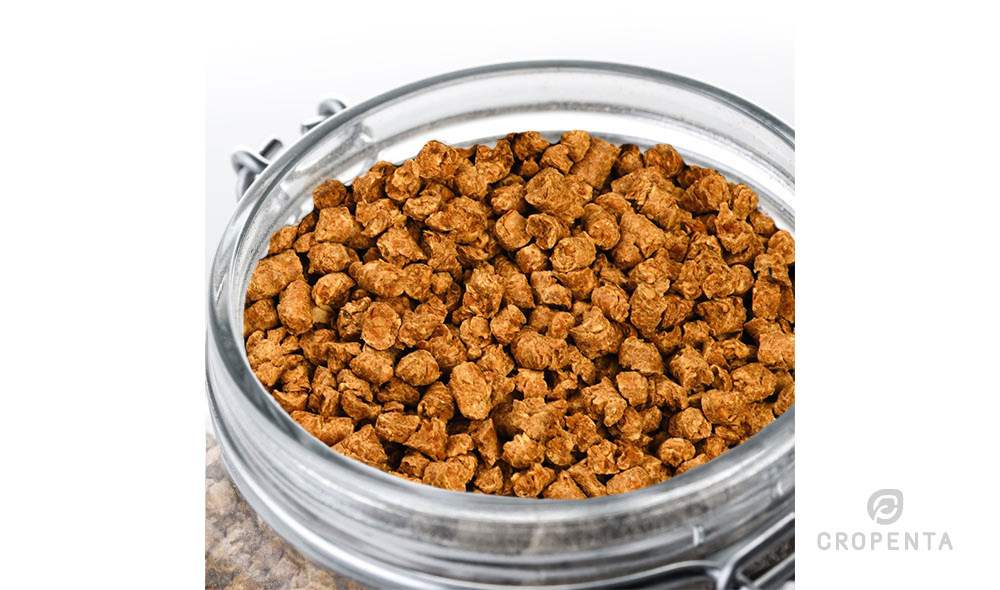 Bypass Soy Protein MP