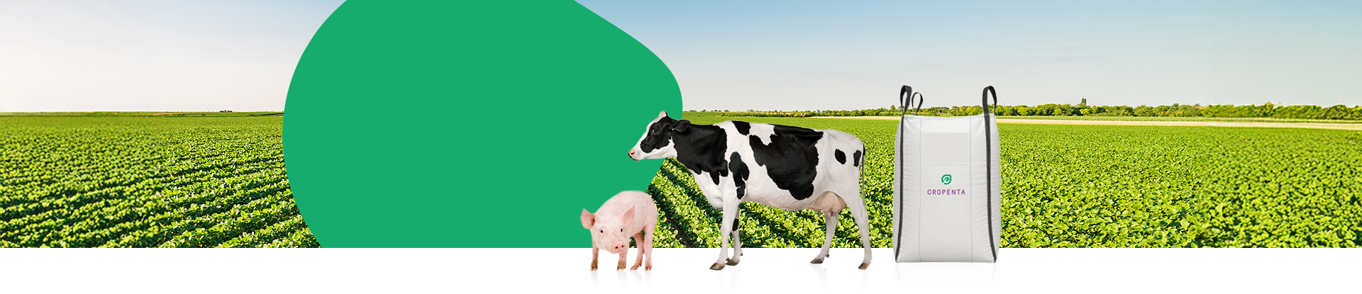 Feed ingredients