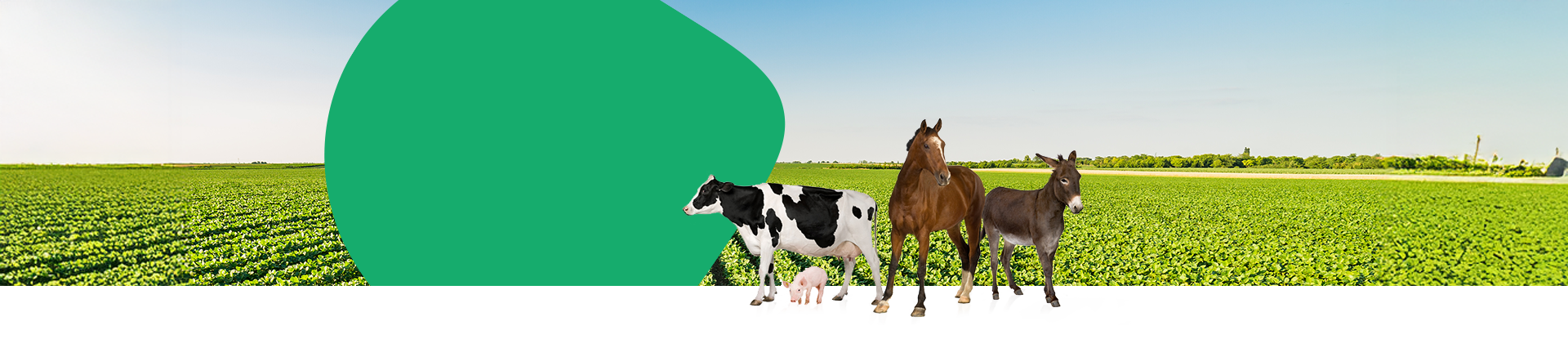Cropenta SL – Smart Inputs Stronger Results