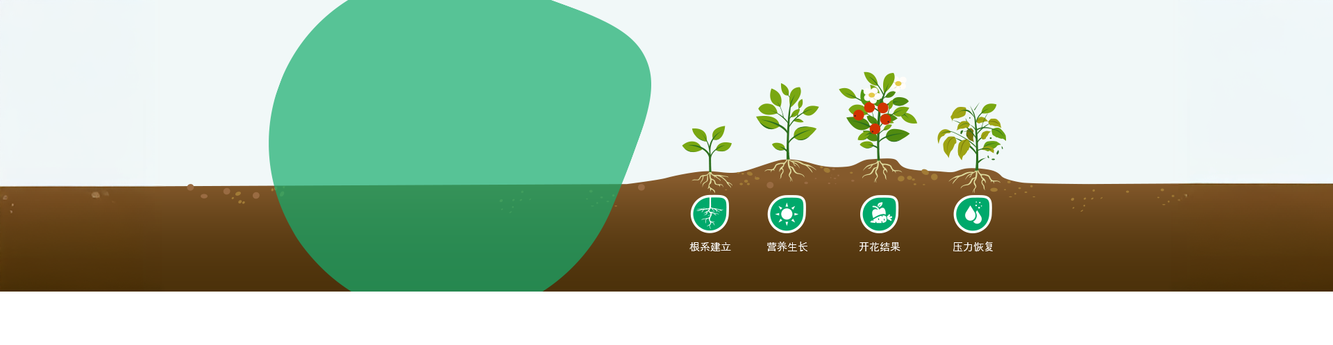 高性能肥料与生物刺激素