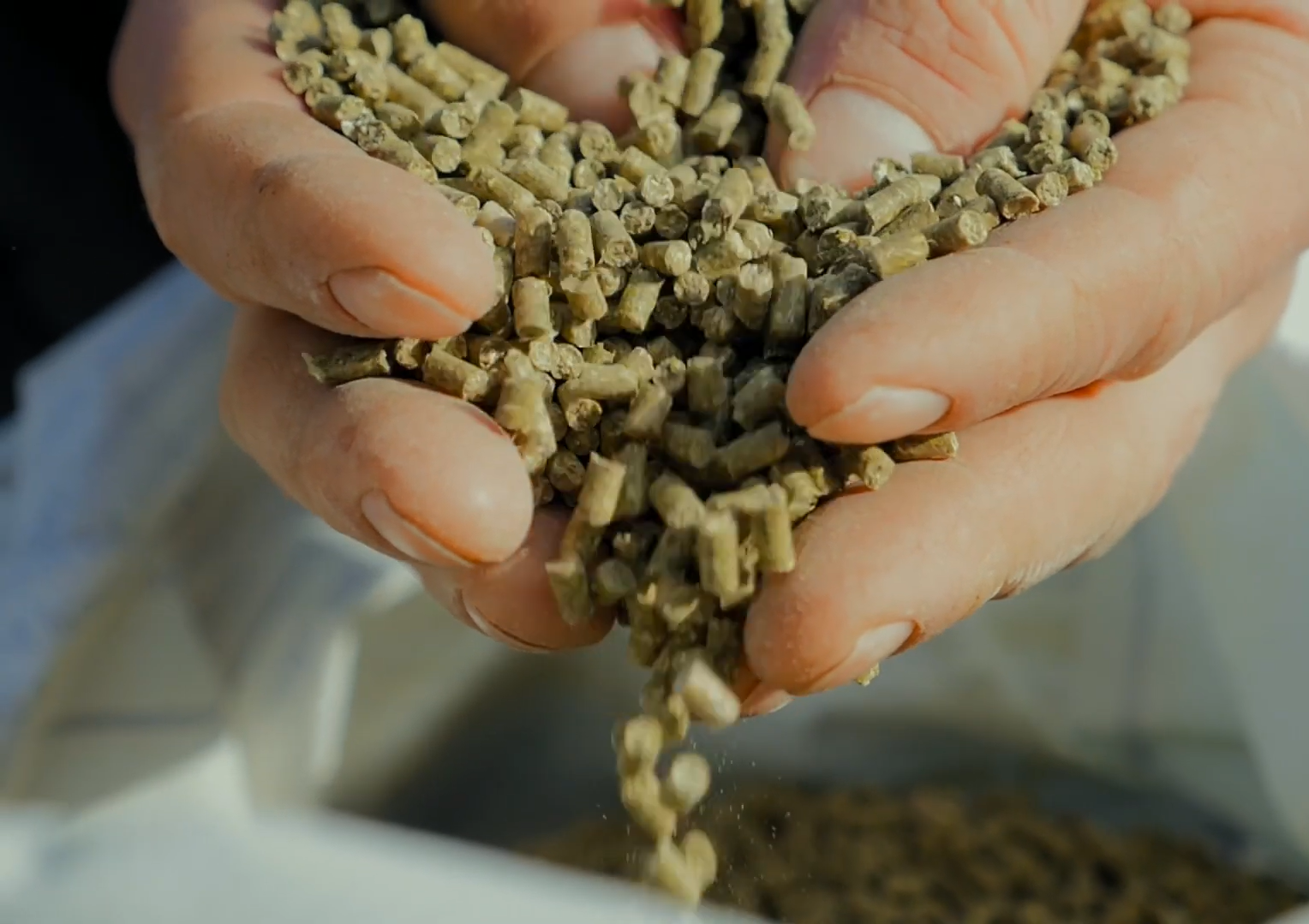 Ondersteuning voor diervoederproducenten wereldwijd
